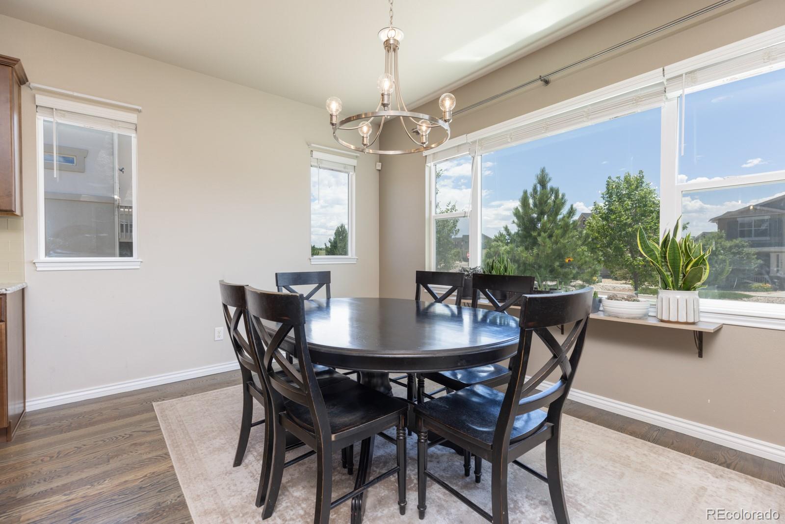 MLS Image #11 for 1849  mud hen drive,colorado springs, Colorado