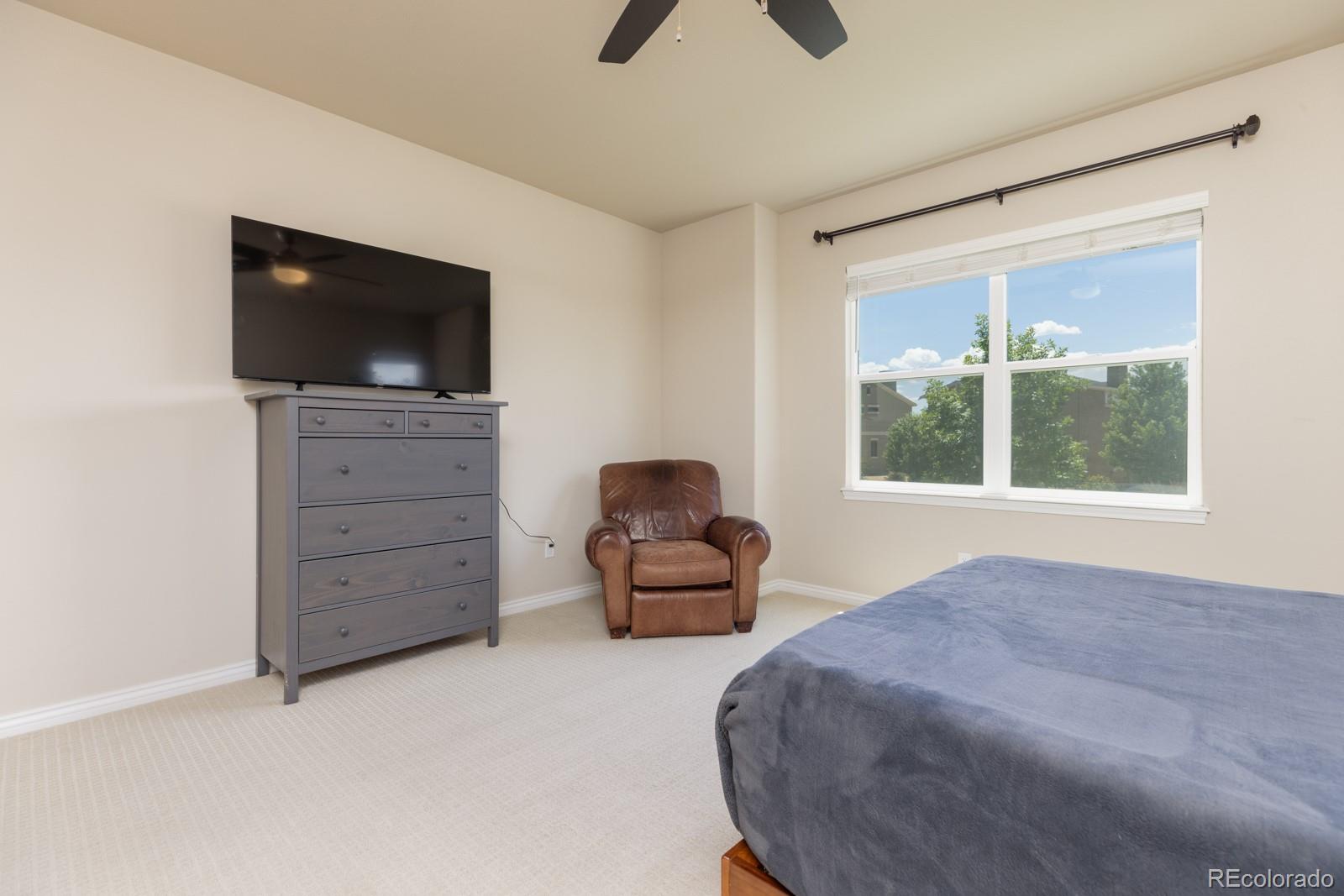MLS Image #16 for 1849  mud hen drive,colorado springs, Colorado