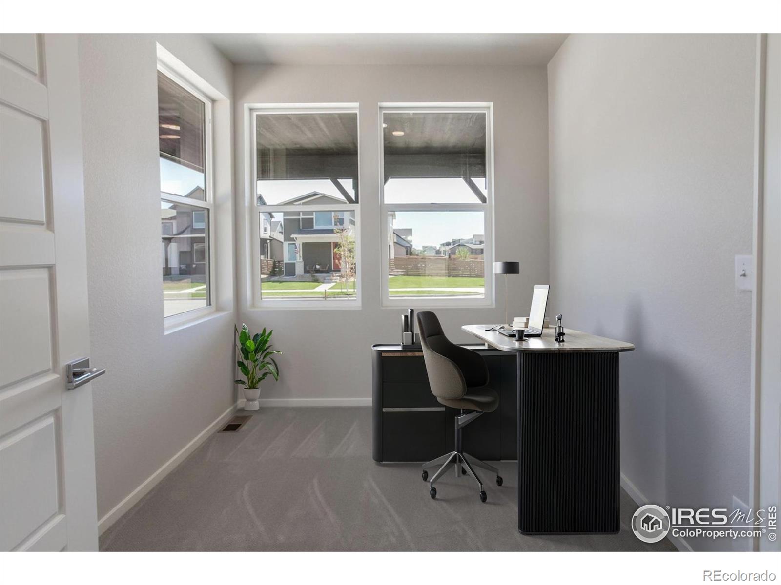 MLS Image #13 for 6013  goodnight avenue,timnath, Colorado