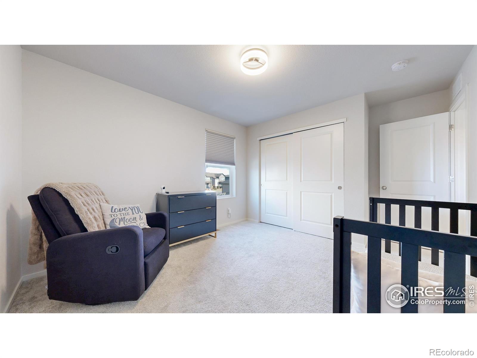 MLS Image #25 for 6013  goodnight avenue,timnath, Colorado
