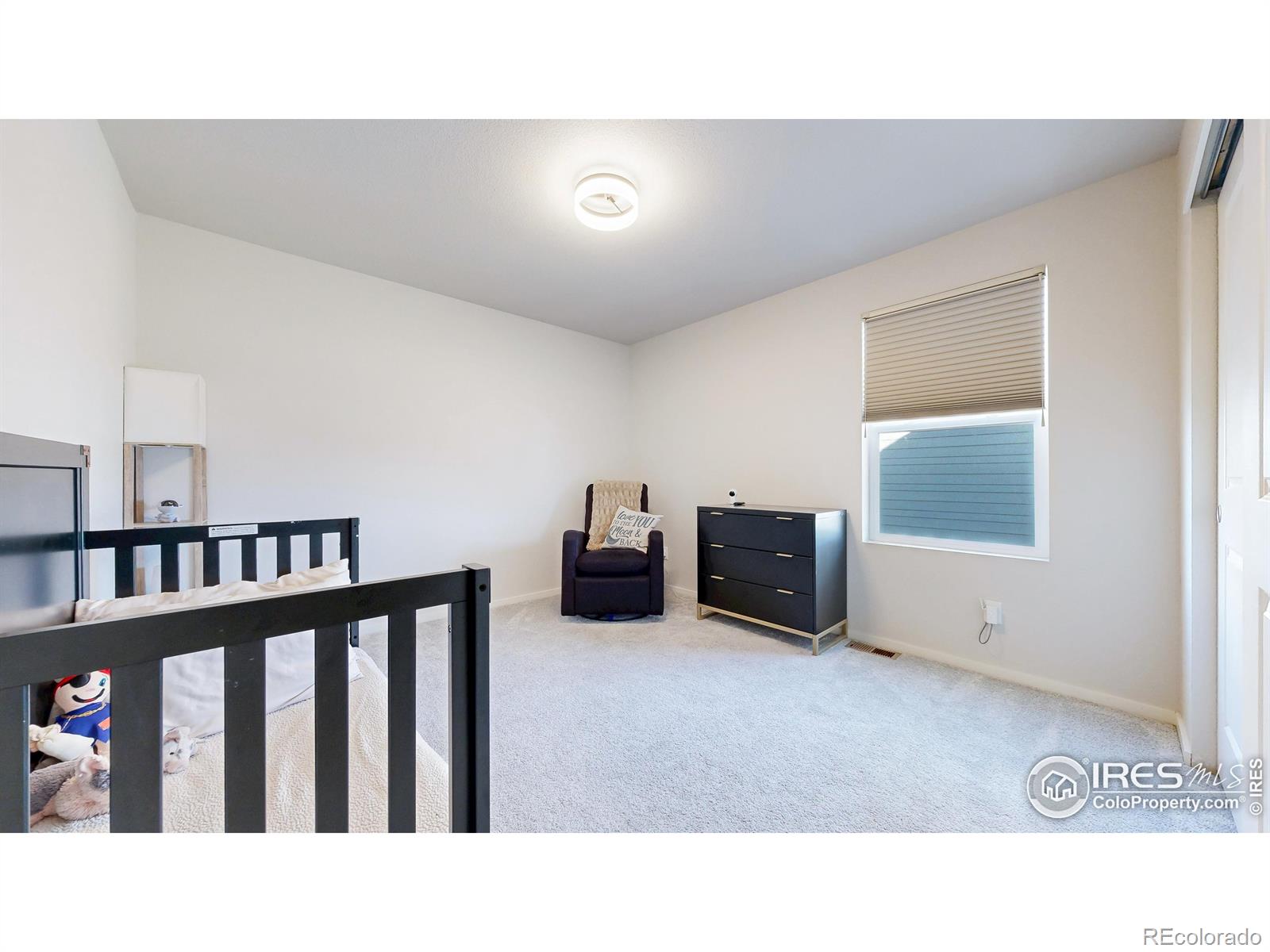 MLS Image #26 for 6013  goodnight avenue,timnath, Colorado