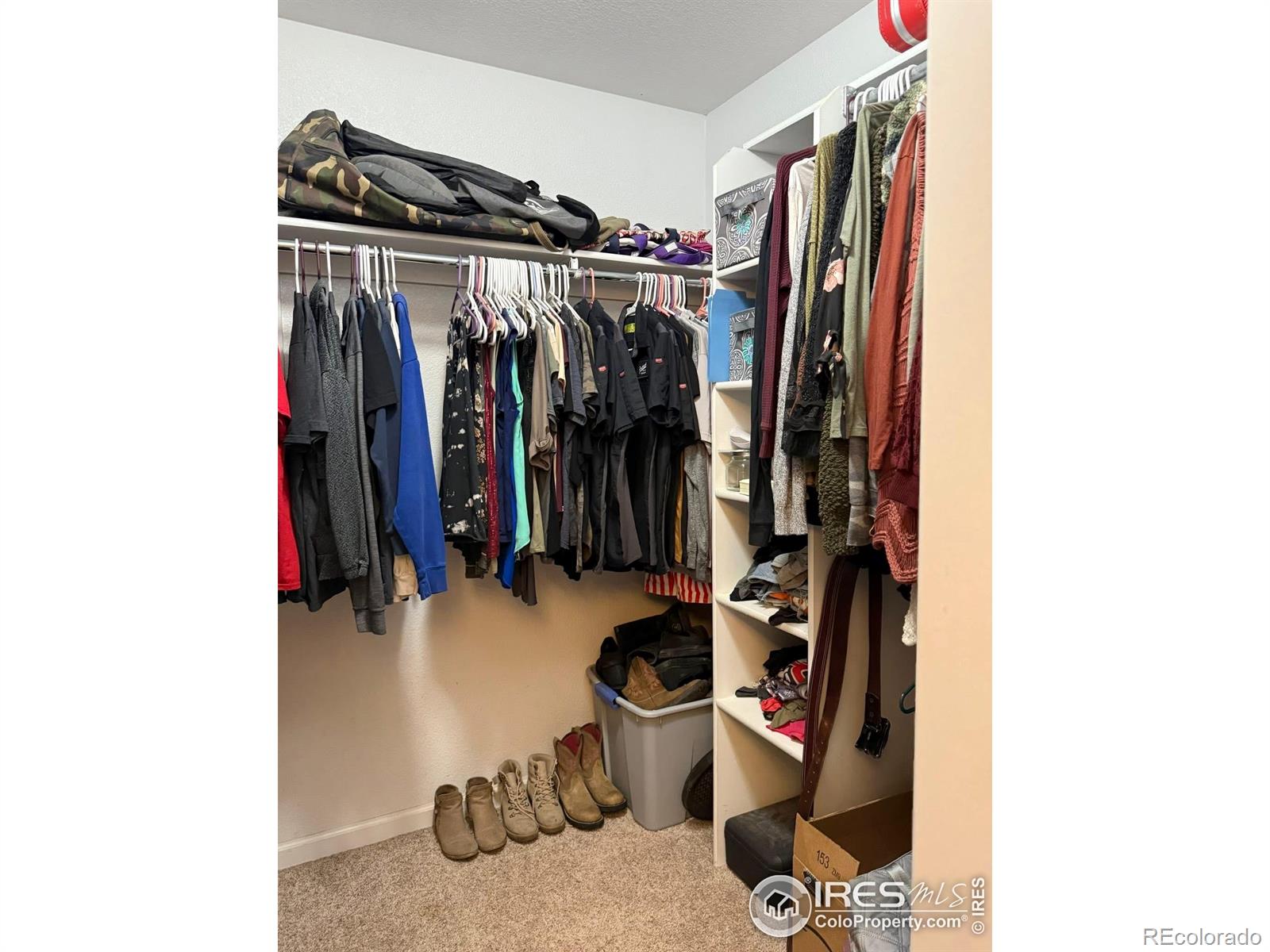 MLS Image #12 for 303  buckeye avenue,eaton, Colorado