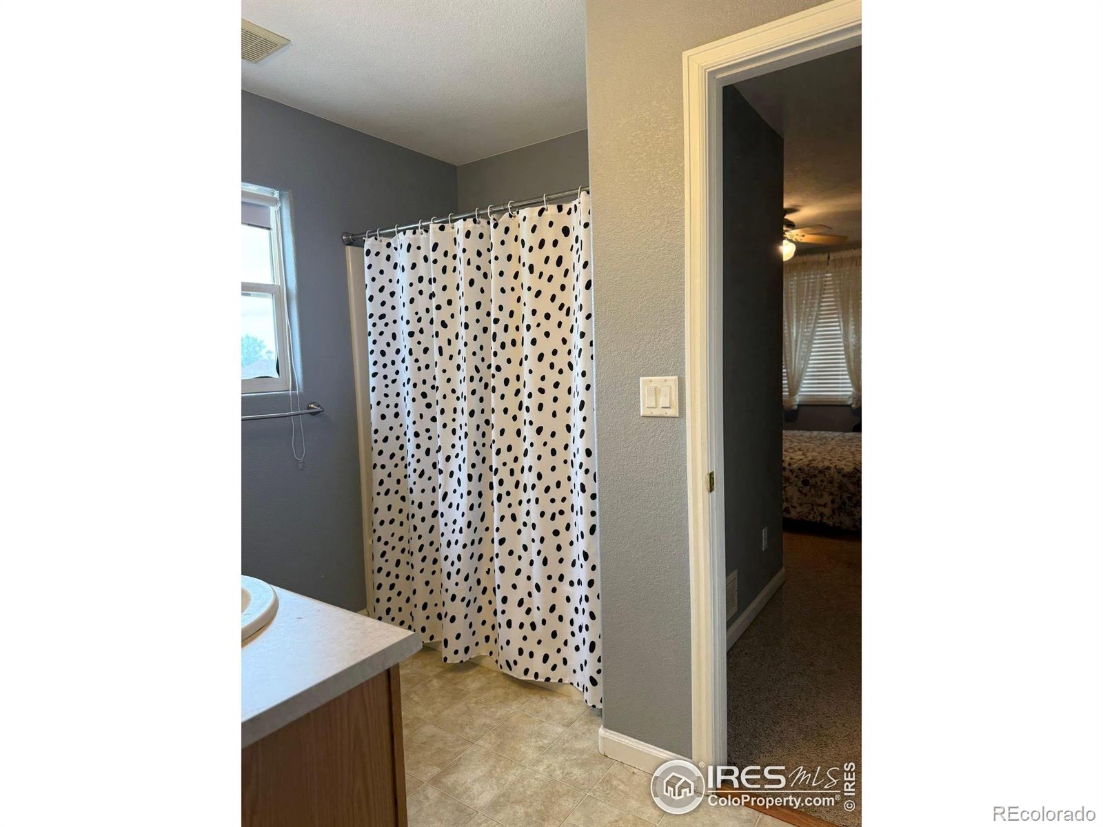 MLS Image #14 for 303  buckeye avenue,eaton, Colorado
