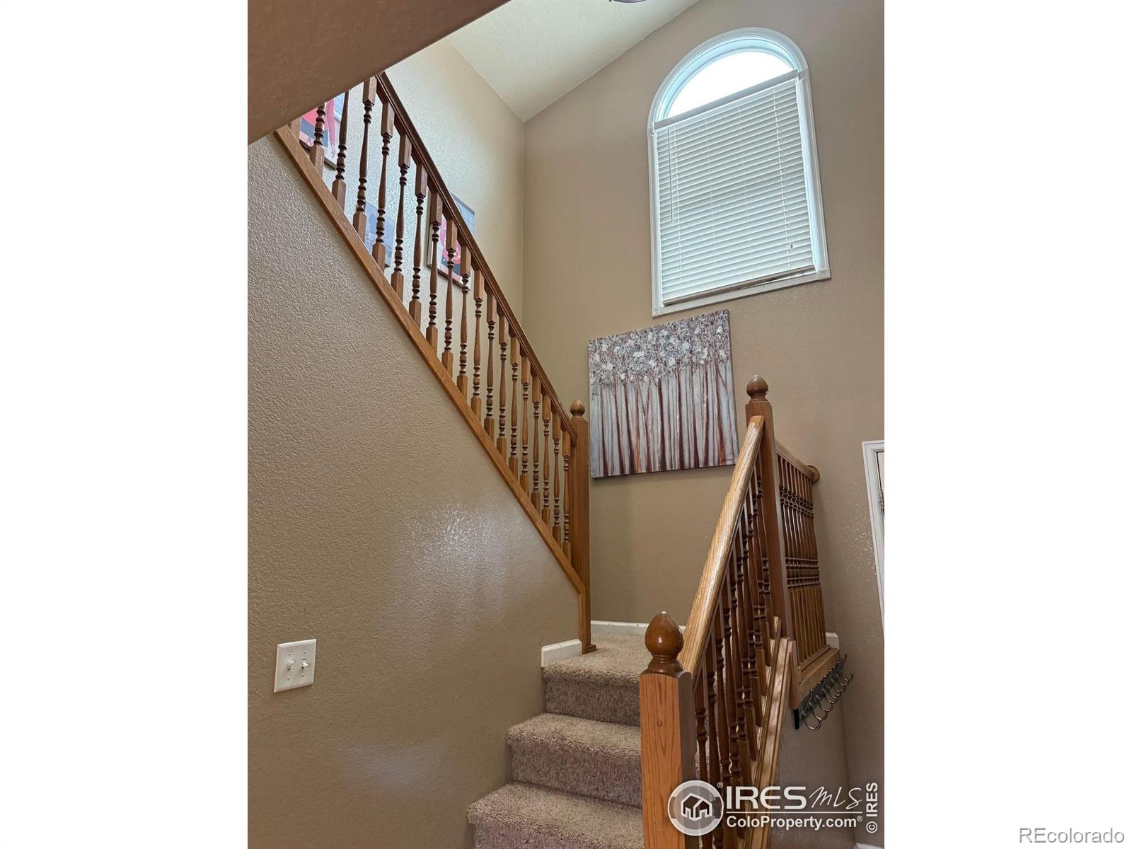 MLS Image #8 for 303  buckeye avenue,eaton, Colorado