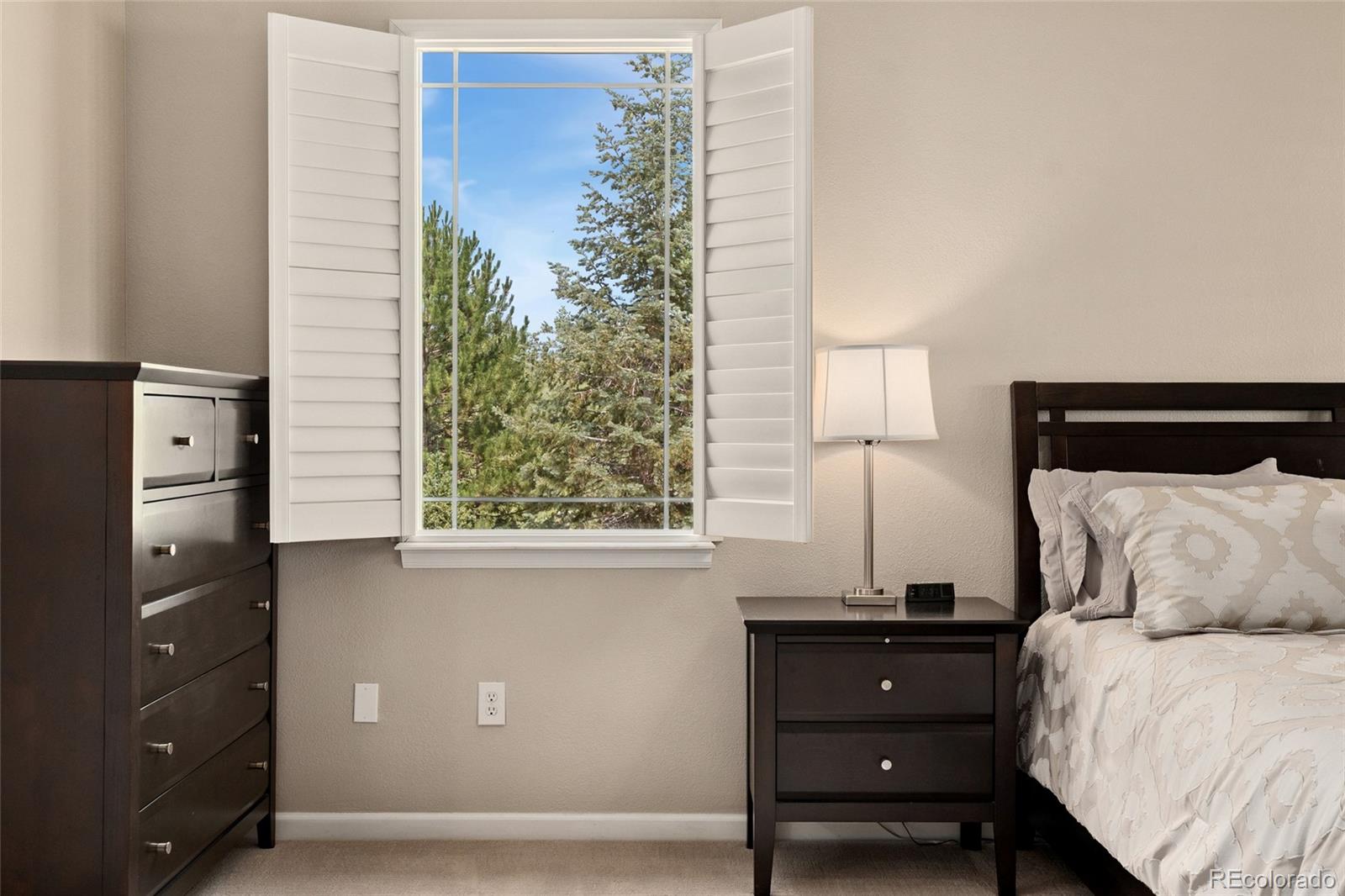 MLS Image #22 for 16486  sneffels court,broomfield, Colorado