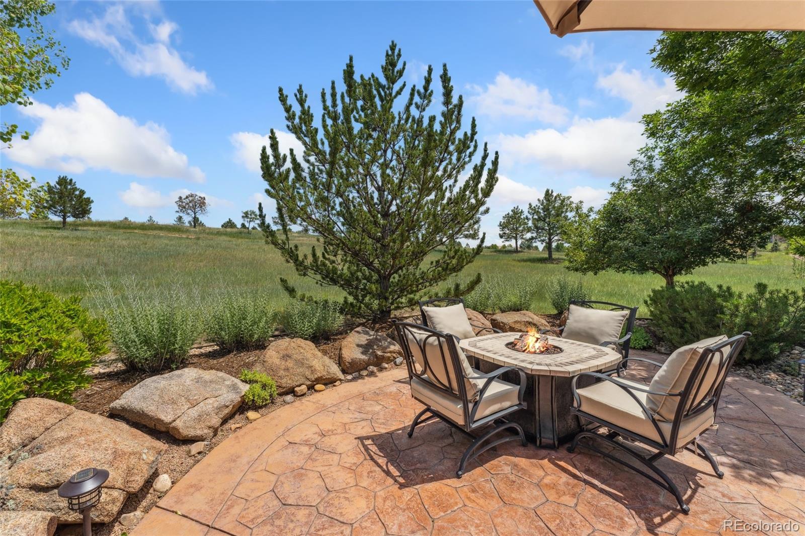 MLS Image #44 for 16486  sneffels court,broomfield, Colorado