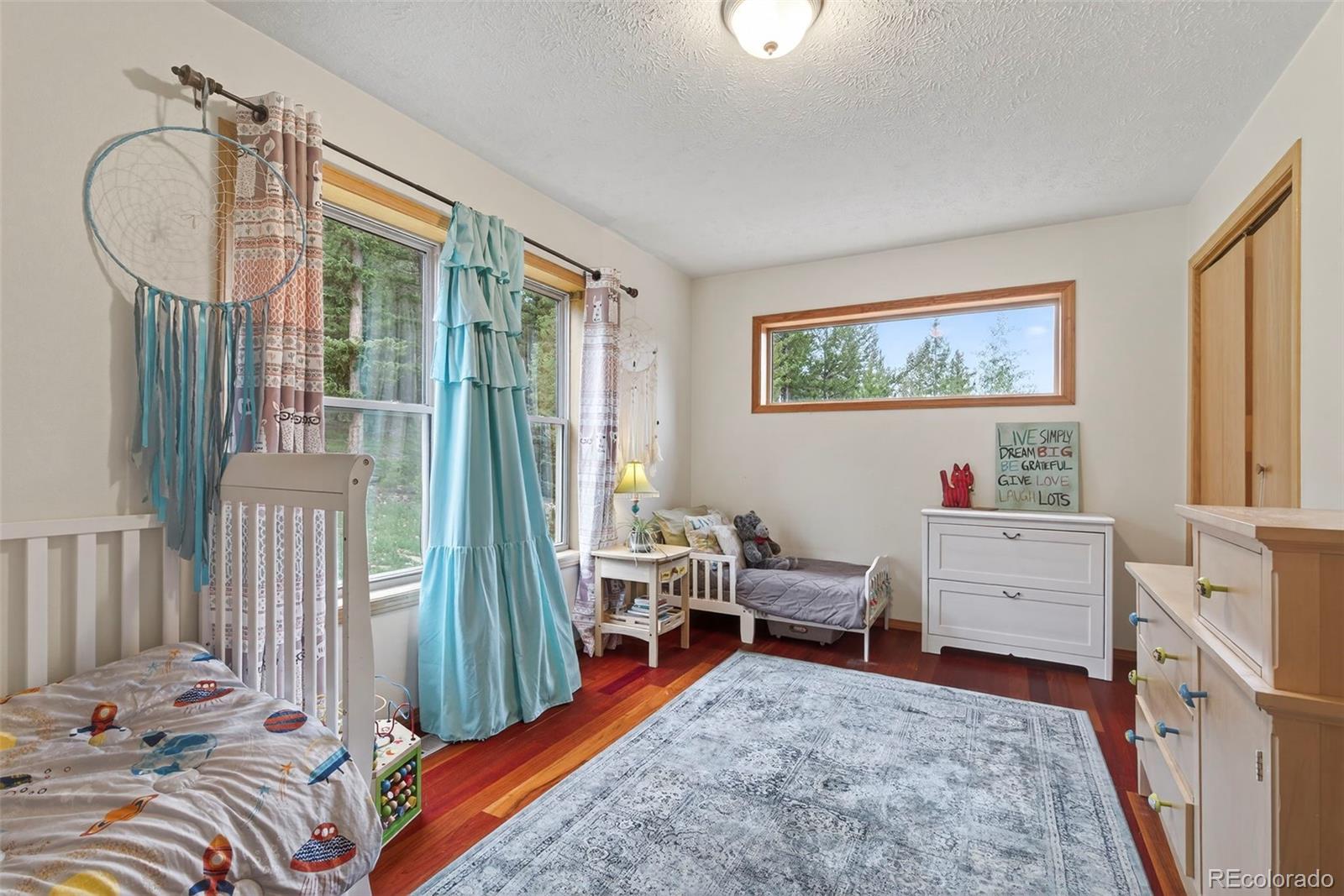 MLS Image #17 for 100  moon gulch road,rollinsville, Colorado