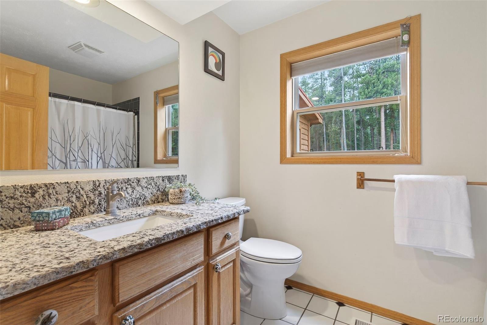 MLS Image #18 for 100  moon gulch road,rollinsville, Colorado