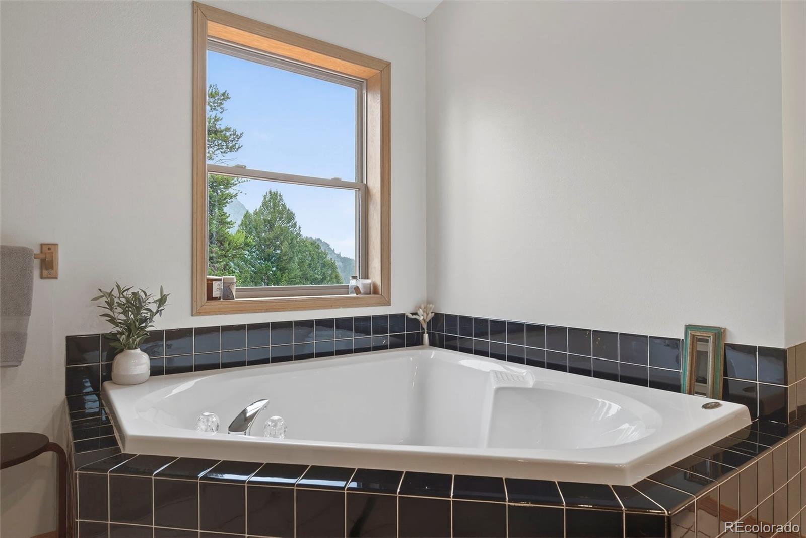 MLS Image #26 for 100  moon gulch road,rollinsville, Colorado
