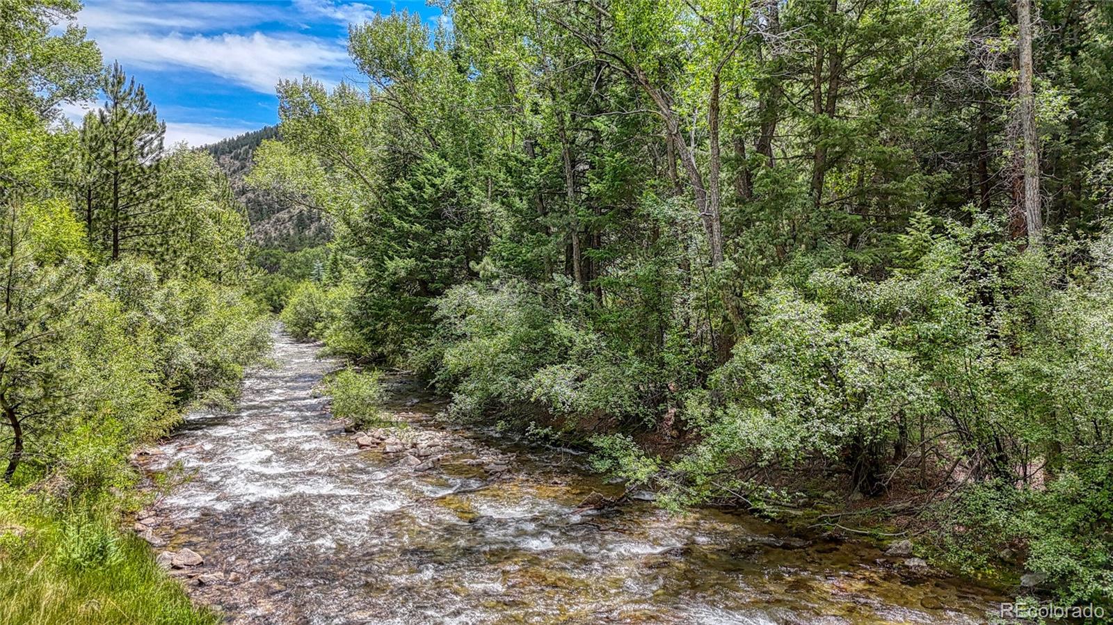 MLS Image #1 for 17755  county road 291 ,nathrop, Colorado