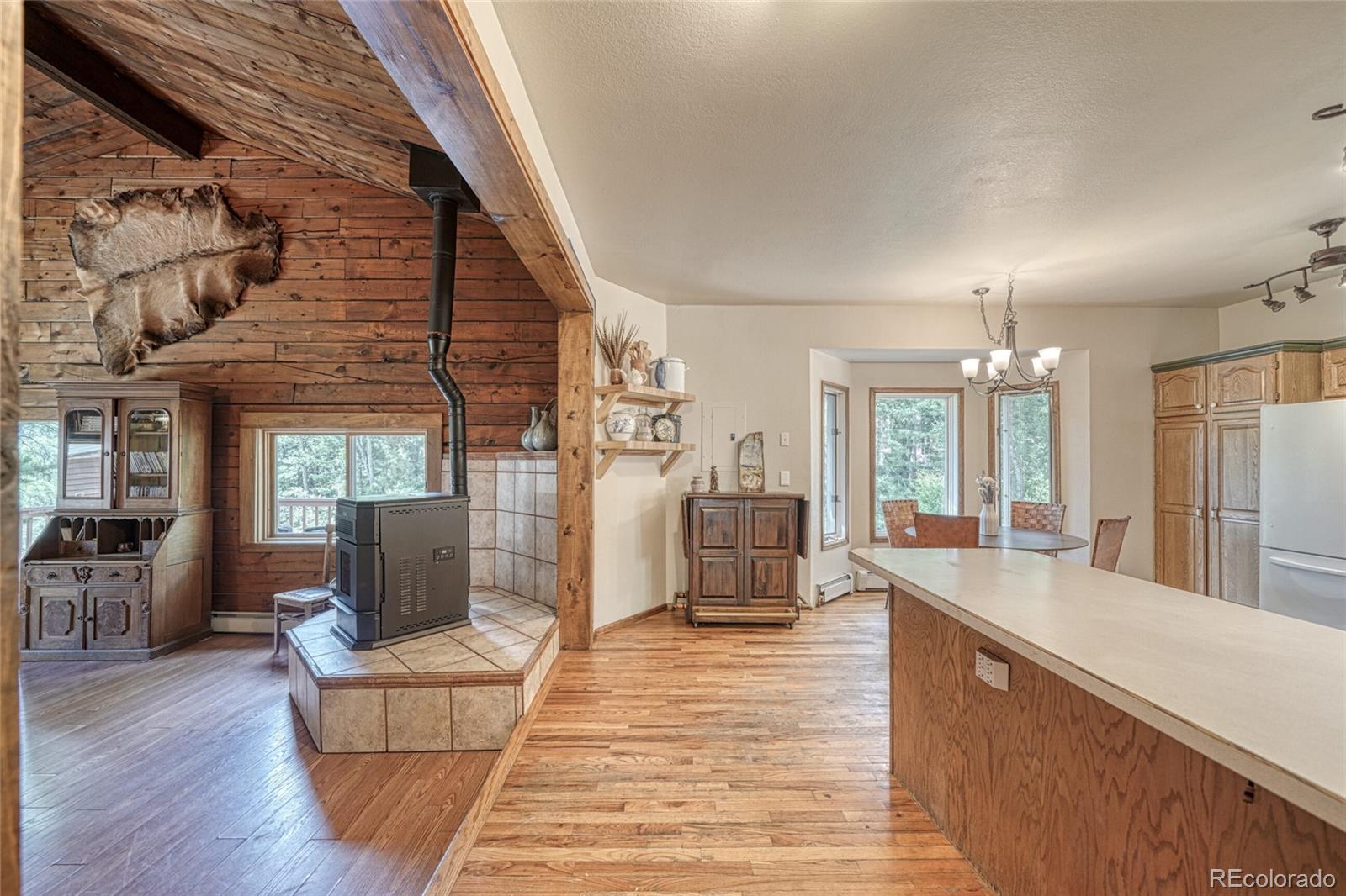 MLS Image #13 for 17755  county road 291 ,nathrop, Colorado