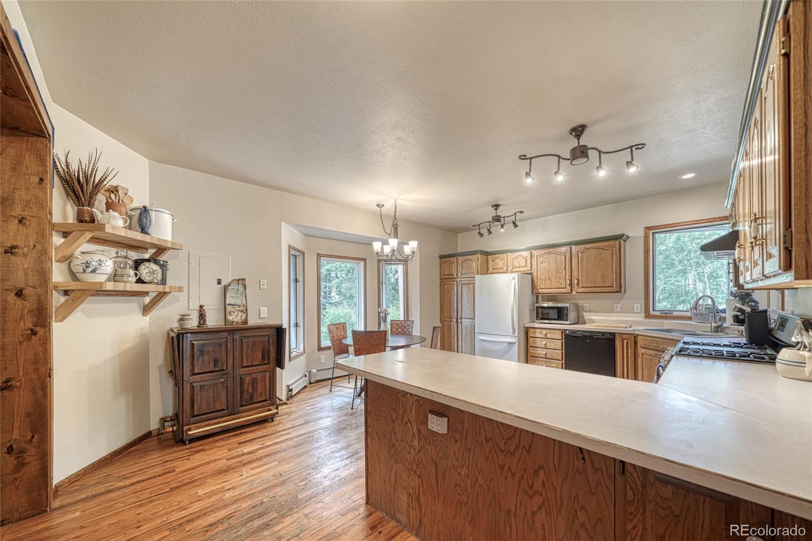 MLS Image #14 for 17755  county road 291 ,nathrop, Colorado