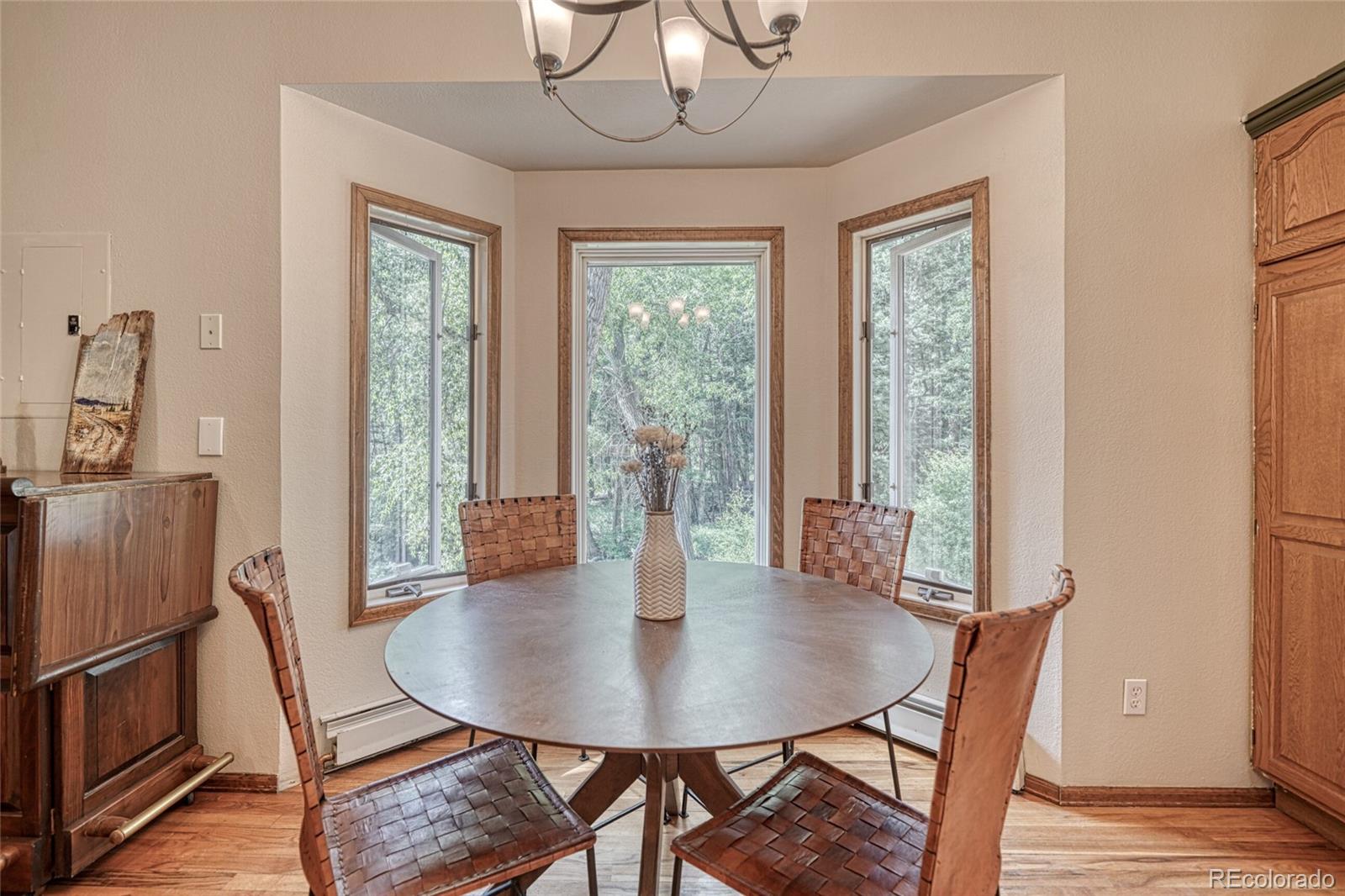 MLS Image #17 for 17755  county road 291 ,nathrop, Colorado