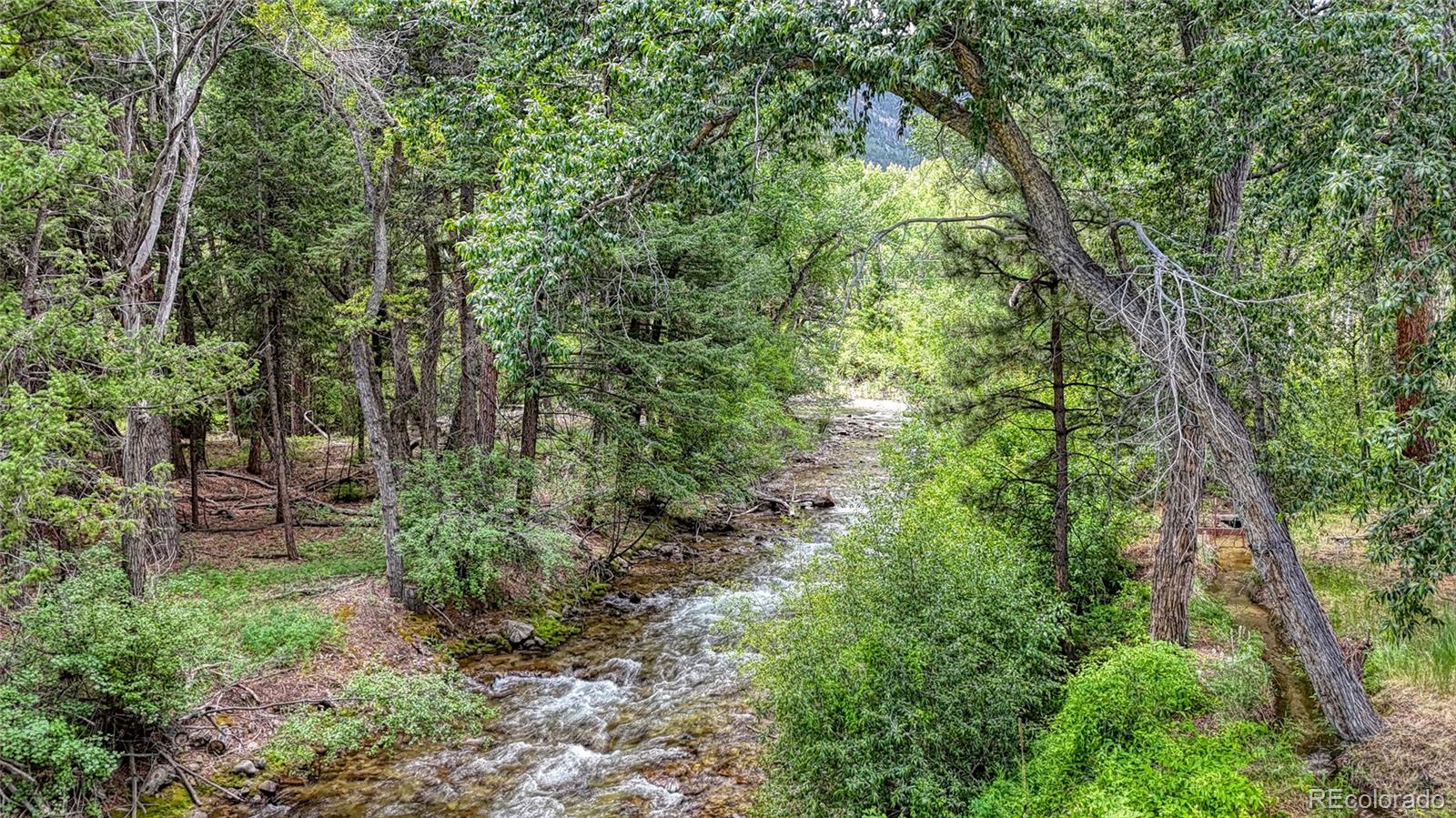MLS Image #34 for 17755  county road 291 ,nathrop, Colorado
