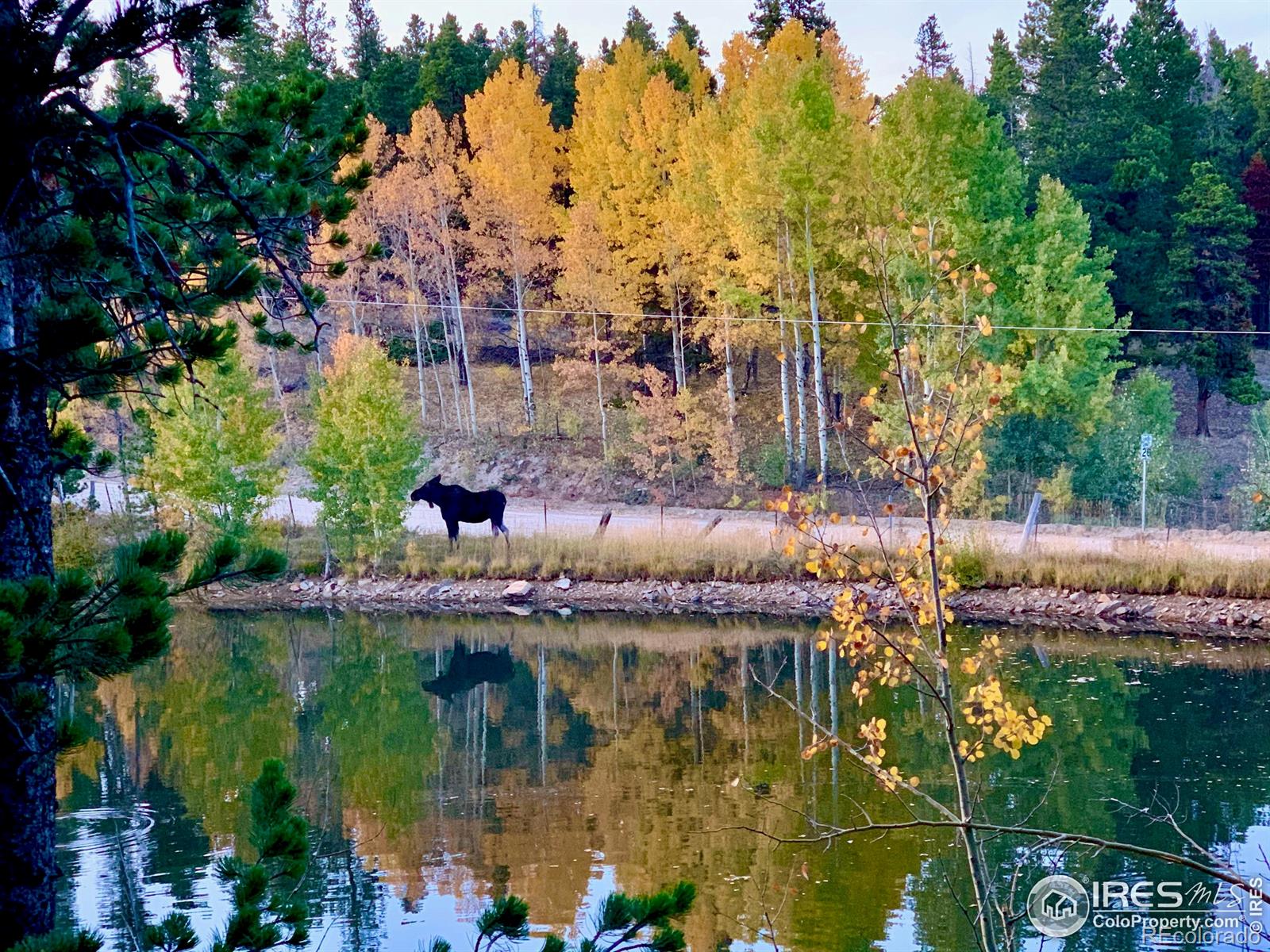 MLS Image #39 for 16903  highway 119 ,black hawk, Colorado