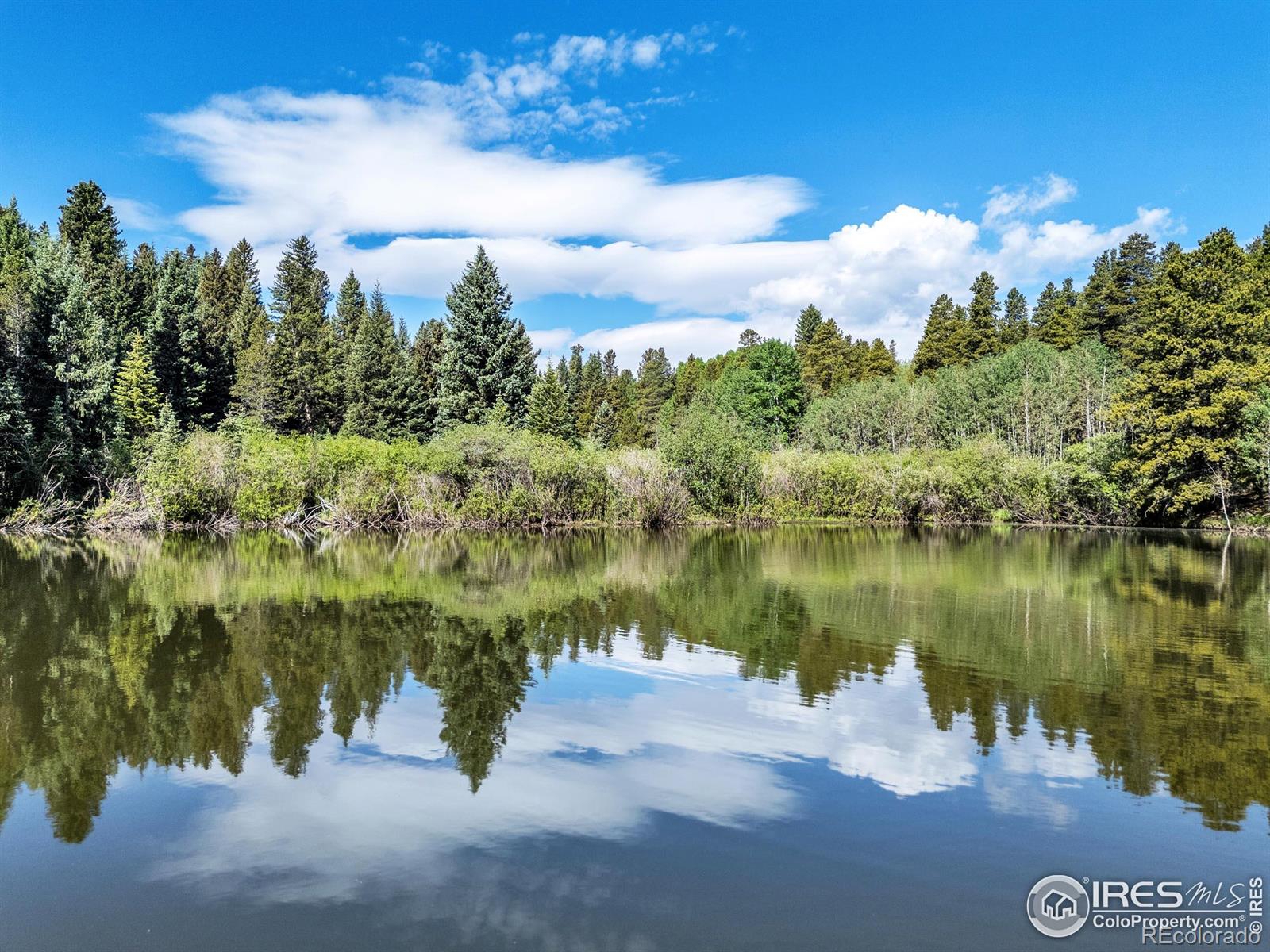 MLS Image #4 for 16903  highway 119 ,black hawk, Colorado
