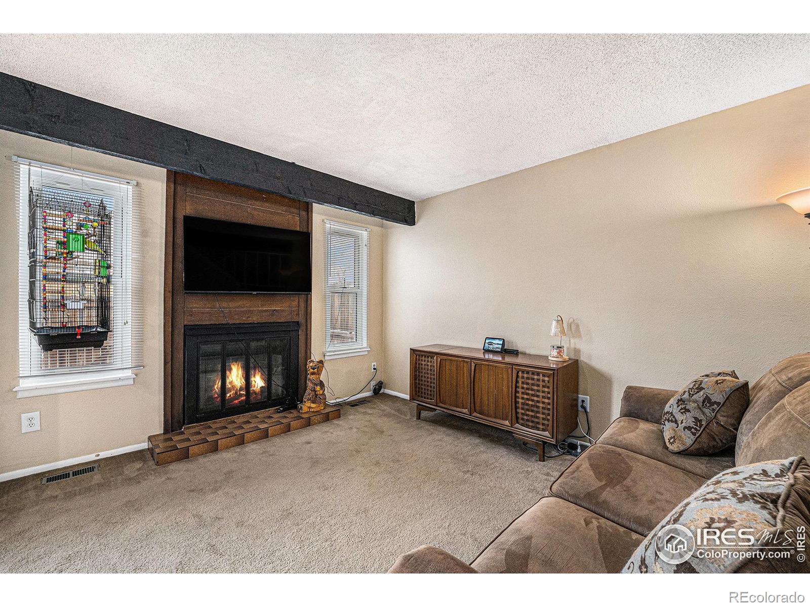 MLS Image #7 for 8746  carr loop,arvada, Colorado