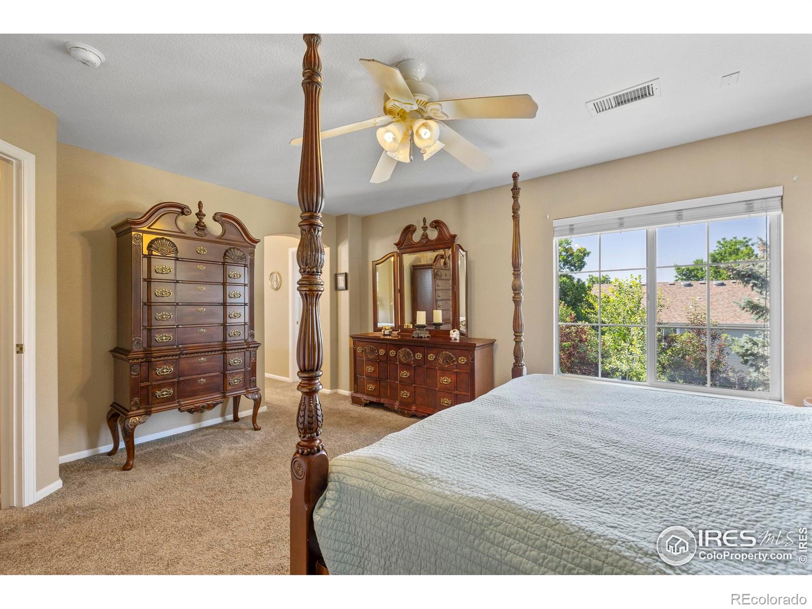MLS Image #18 for 64  whitehaven circle,highlands ranch, Colorado