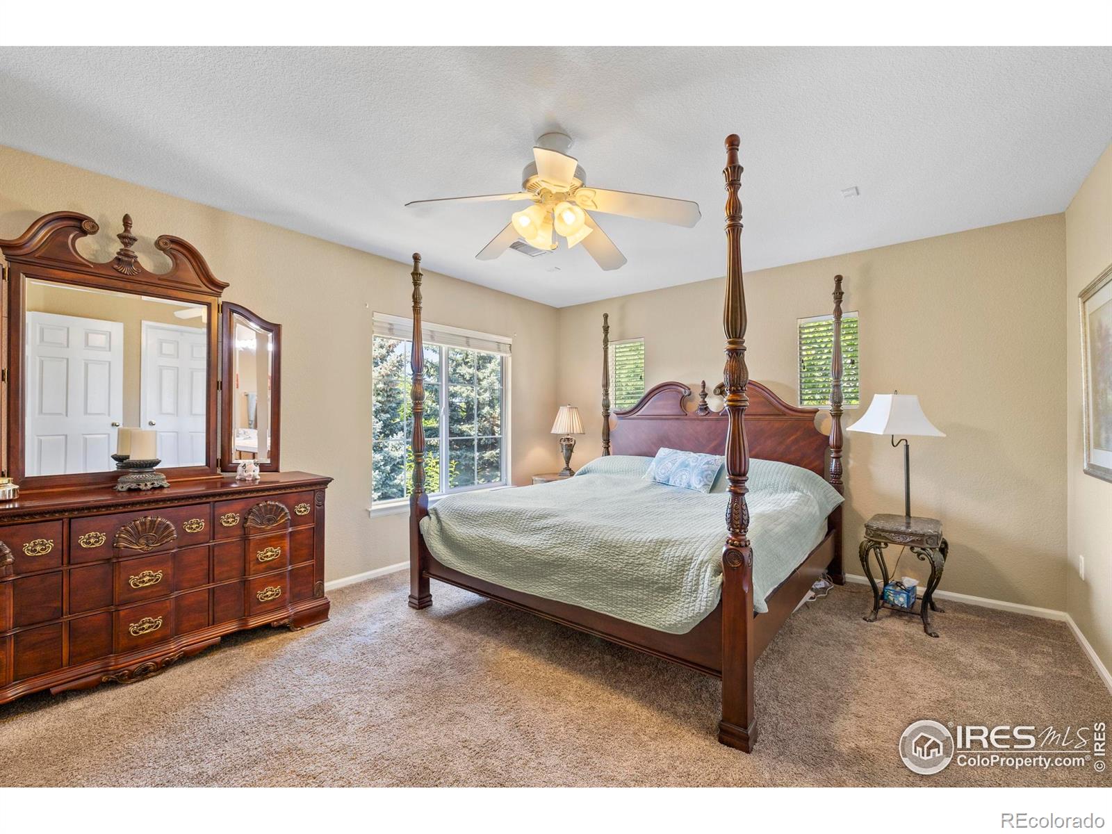 MLS Image #19 for 64  whitehaven circle,highlands ranch, Colorado
