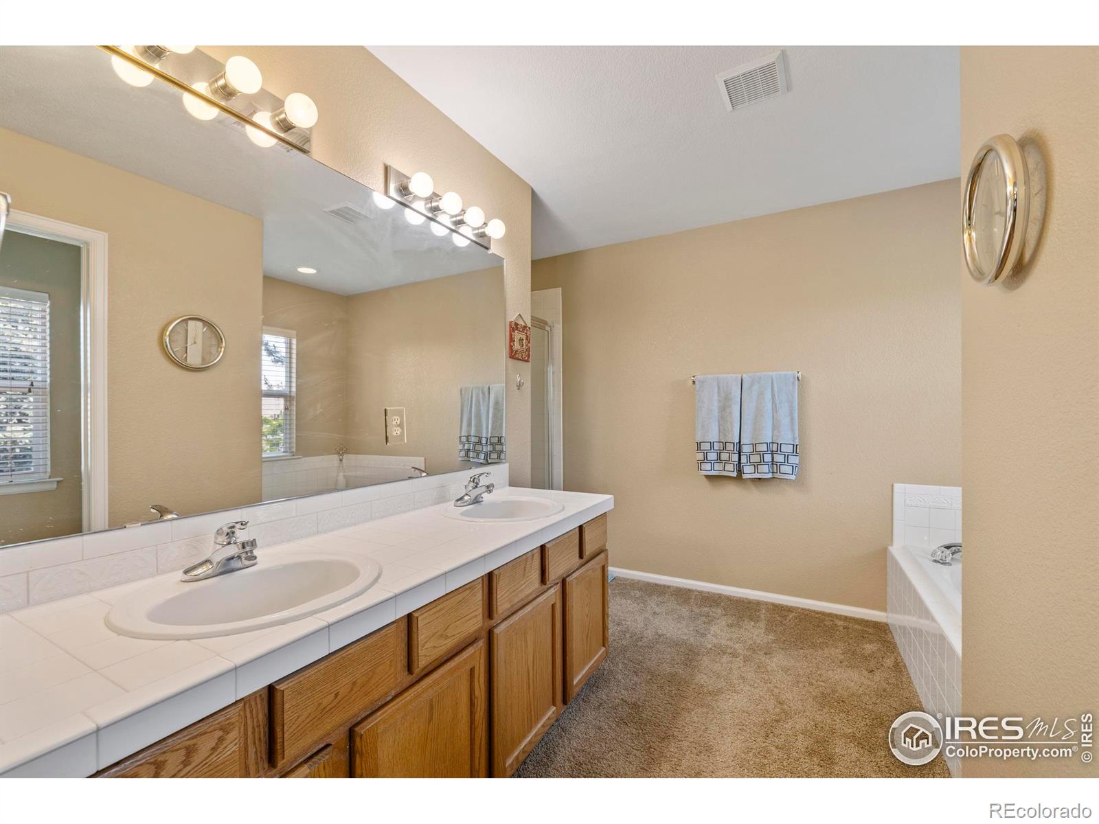 MLS Image #21 for 64  whitehaven circle,highlands ranch, Colorado