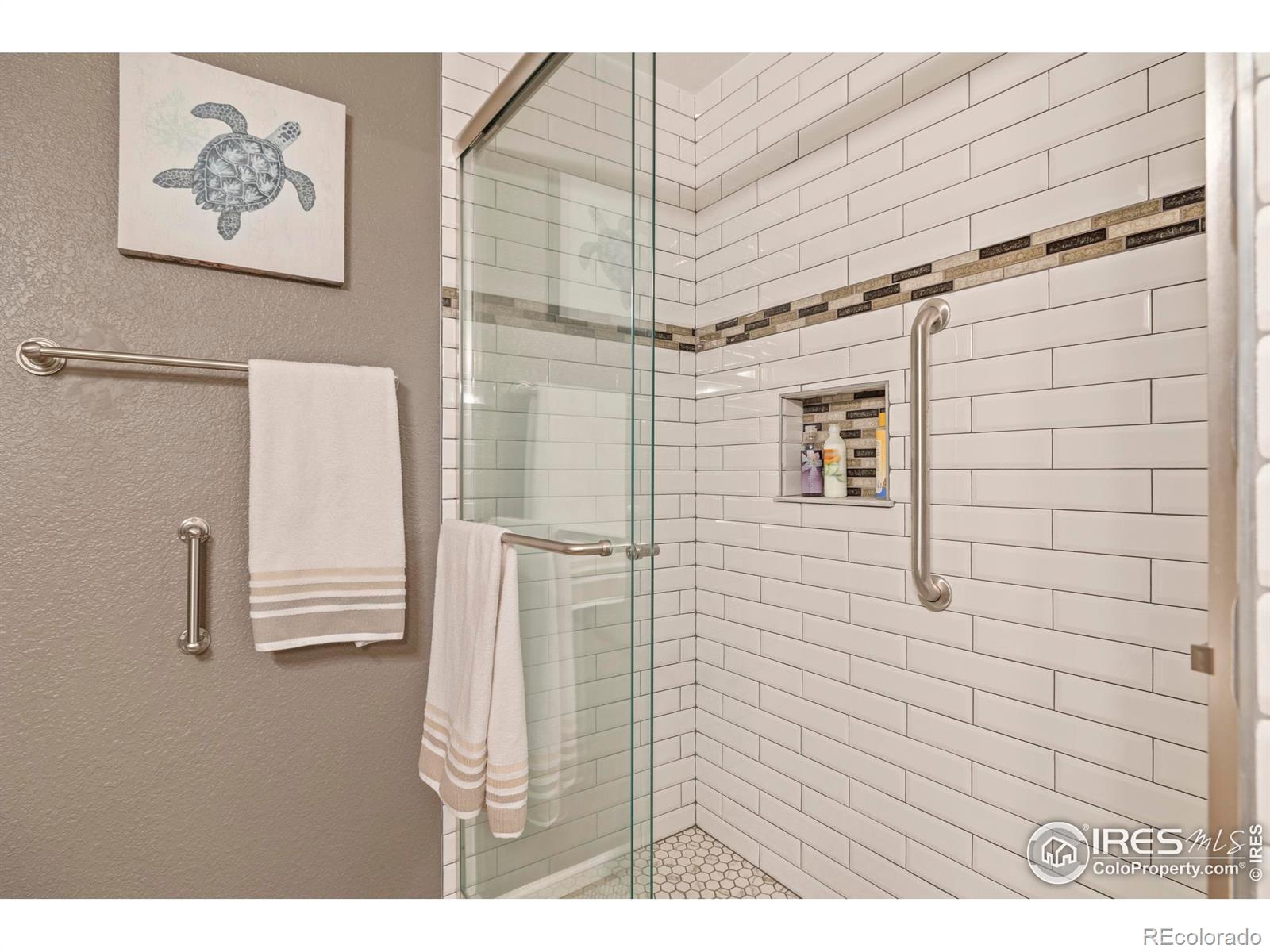 MLS Image #22 for 64  whitehaven circle,highlands ranch, Colorado