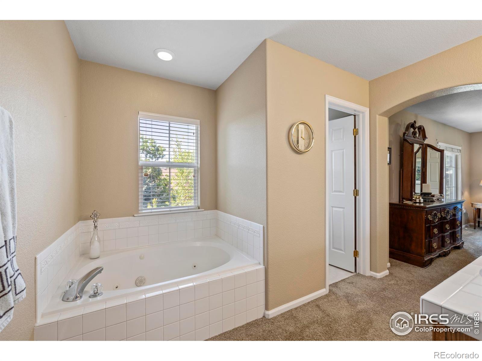 MLS Image #23 for 64  whitehaven circle,highlands ranch, Colorado
