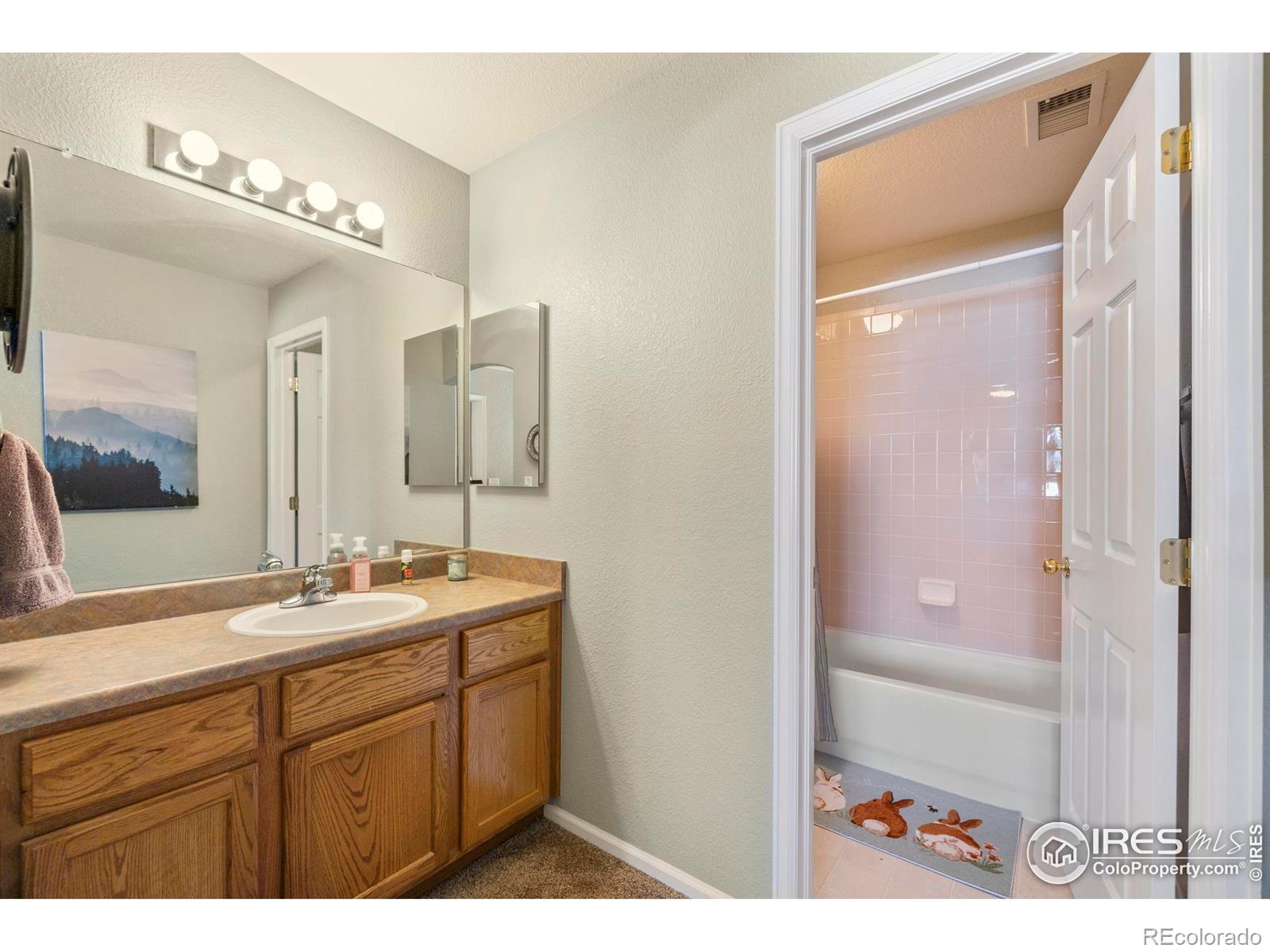 MLS Image #25 for 64  whitehaven circle,highlands ranch, Colorado