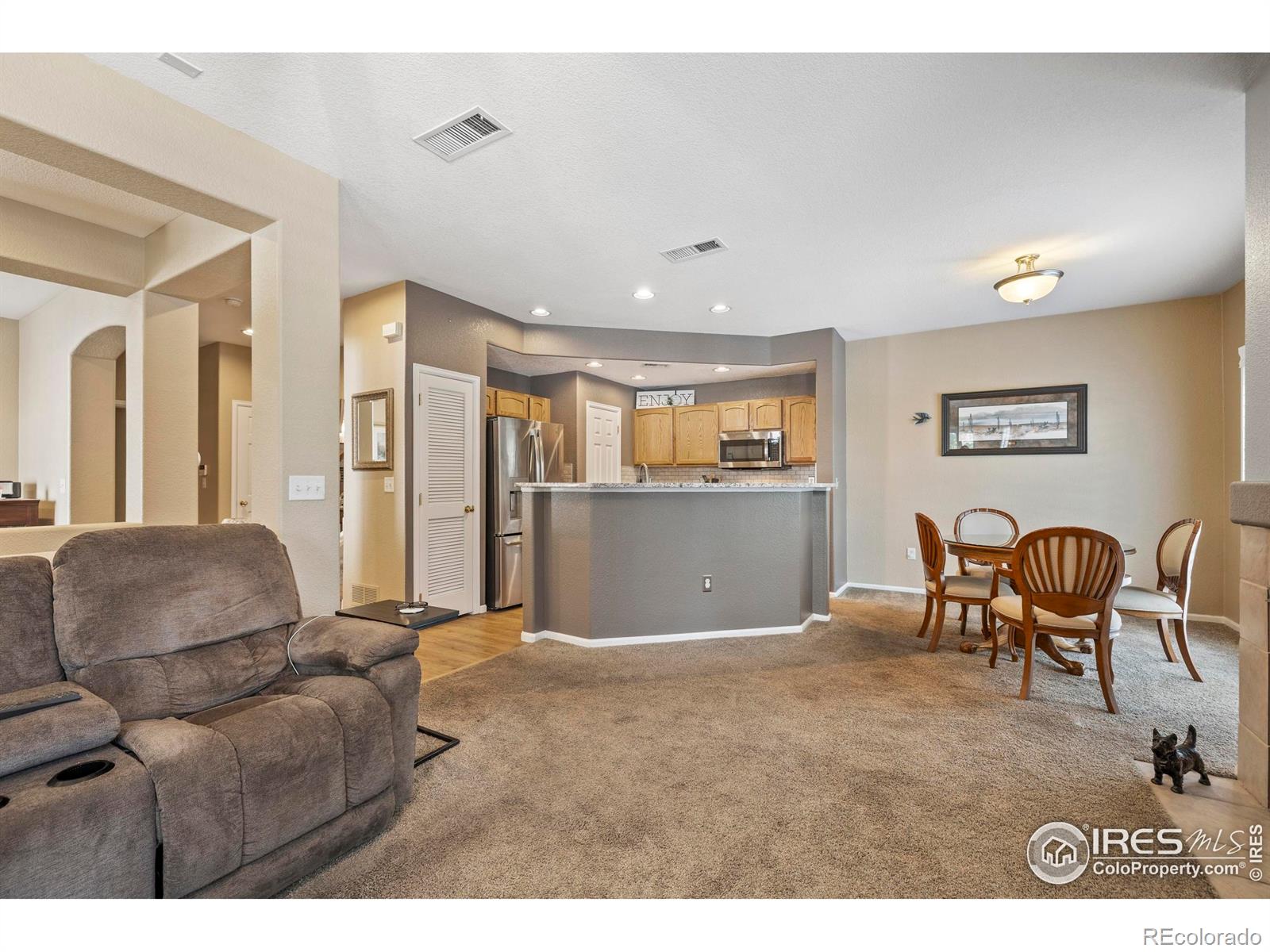 MLS Image #9 for 64  whitehaven circle,highlands ranch, Colorado