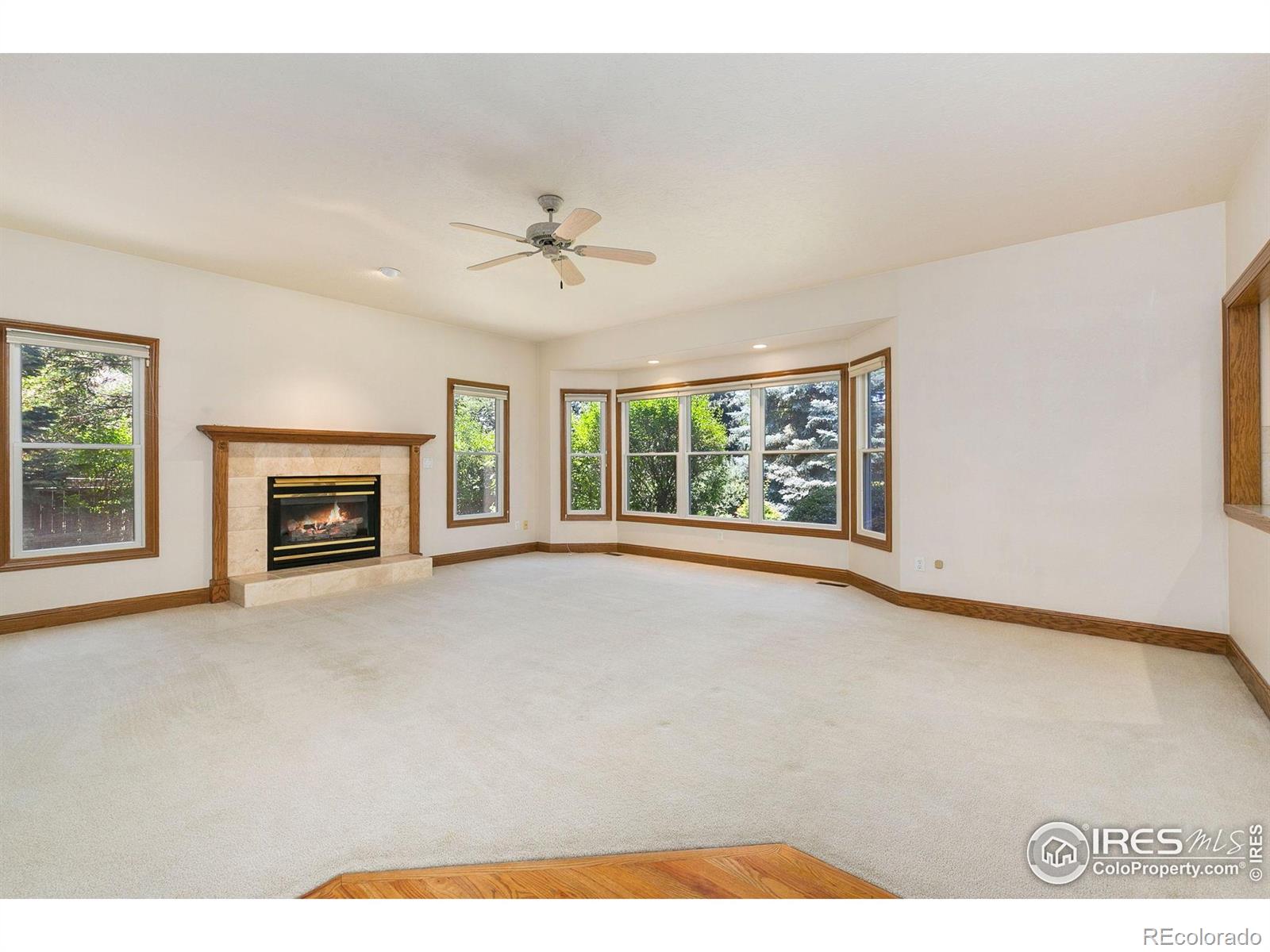 MLS Image #13 for 6005 w 21st street,greeley, Colorado