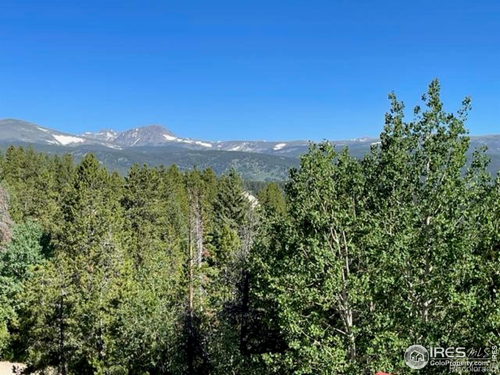 MLS Image #3 for 8  valley view drive,nederland, Colorado