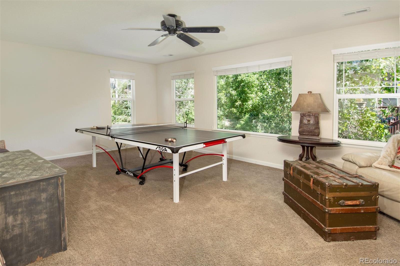 MLS Image #27 for 121  osprey lane,lyons, Colorado