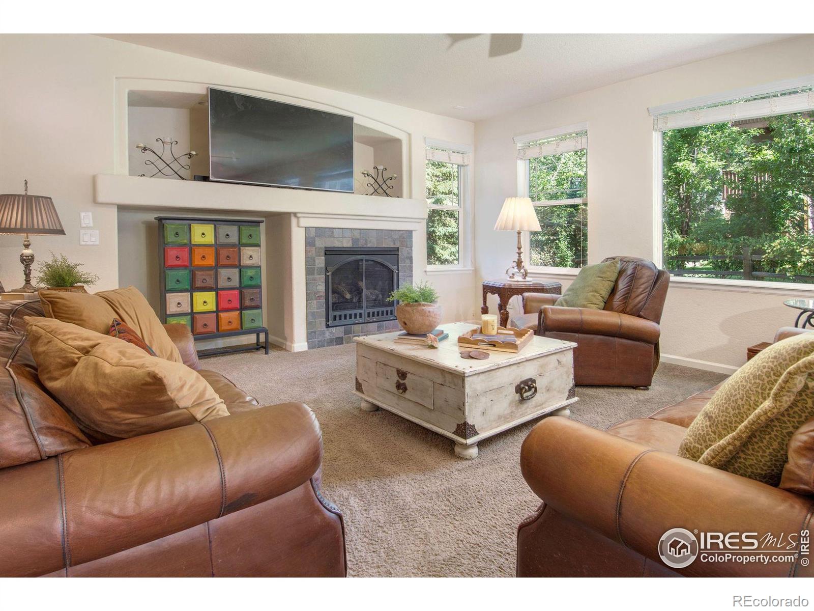 MLS Image #3 for 121  osprey lane,lyons, Colorado
