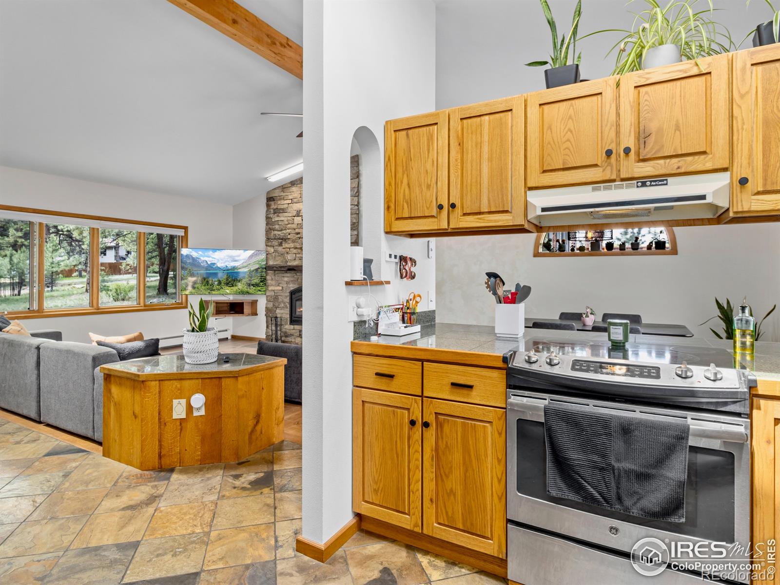MLS Image #11 for 1015  hide a way lane,estes park, Colorado