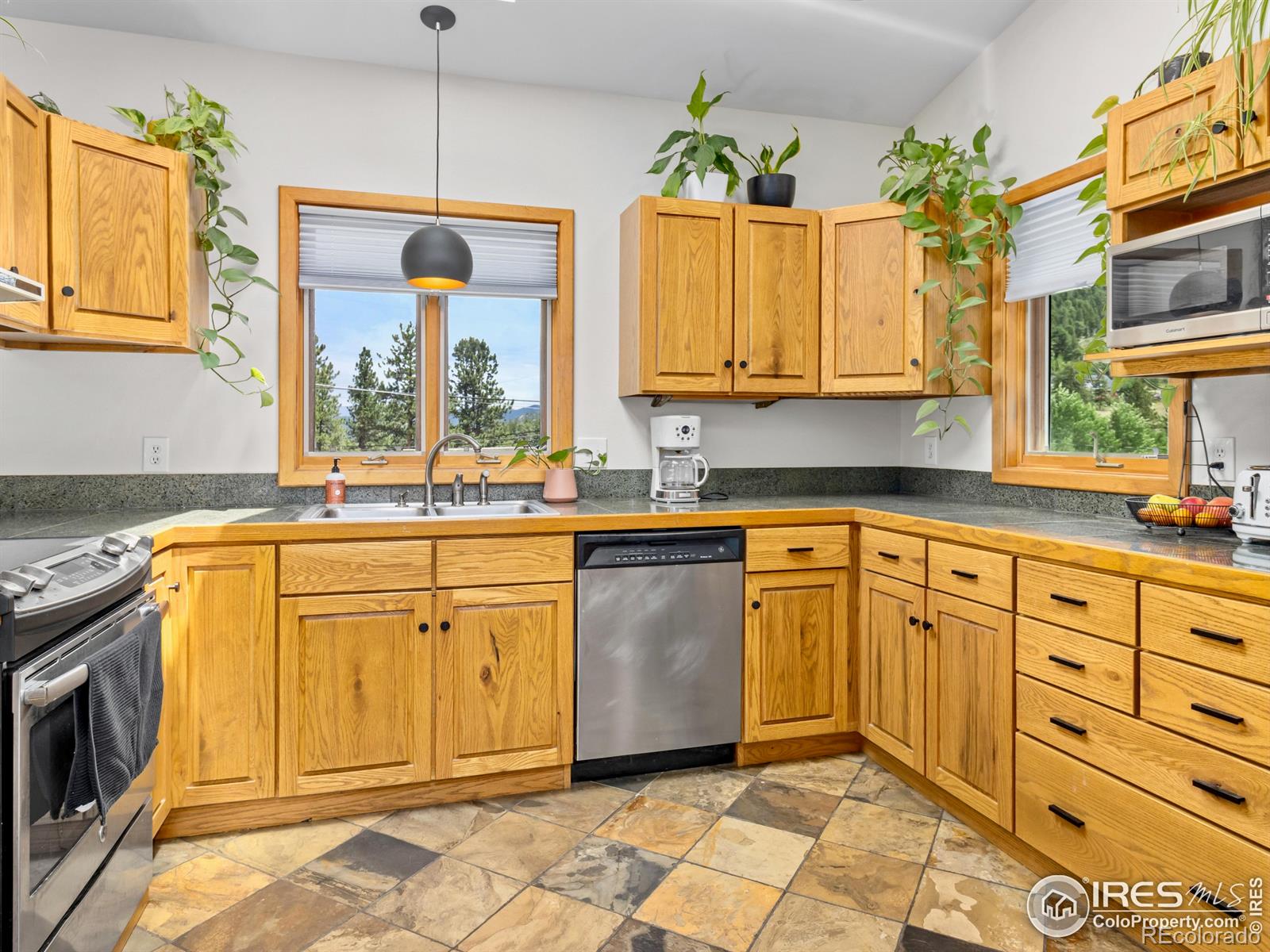 MLS Image #13 for 1015  hide a way lane,estes park, Colorado