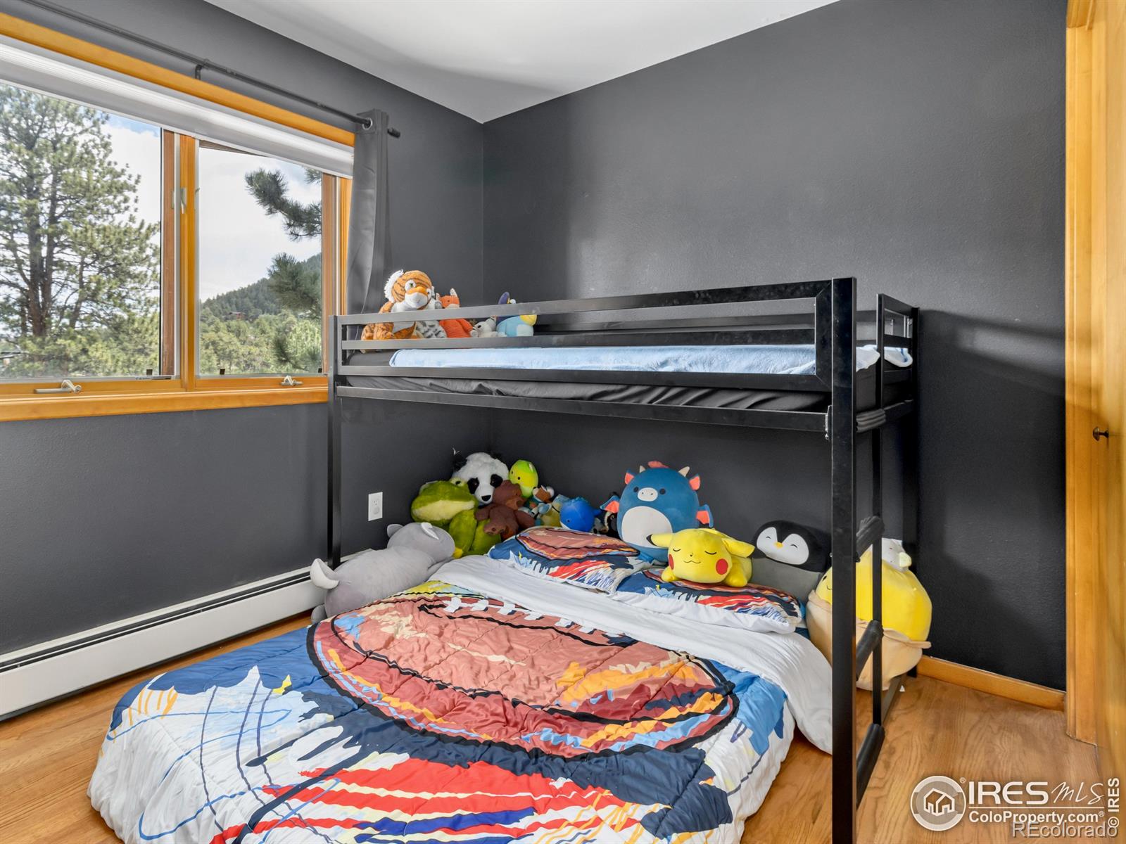MLS Image #19 for 1015  hide a way lane,estes park, Colorado