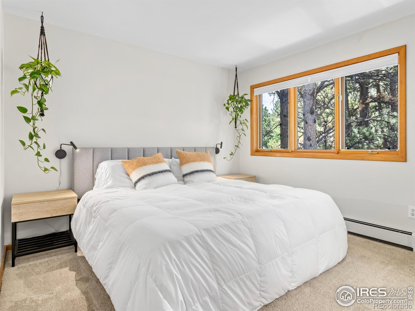 MLS Image #20 for 1015  hide a way lane,estes park, Colorado