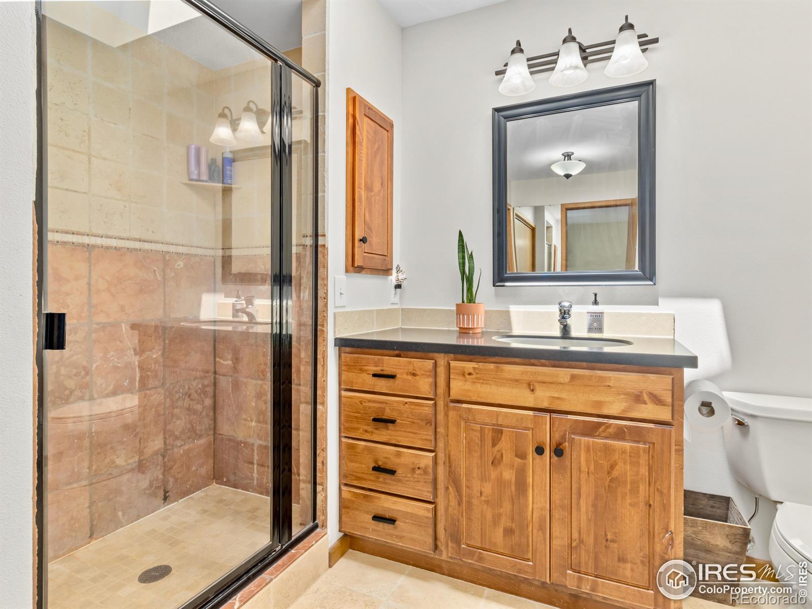 MLS Image #22 for 1015  hide a way lane,estes park, Colorado