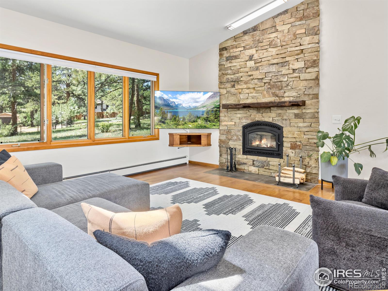 MLS Image #5 for 1015  hide a way lane,estes park, Colorado