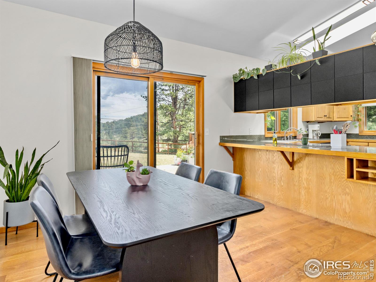 MLS Image #9 for 1015  hide a way lane,estes park, Colorado