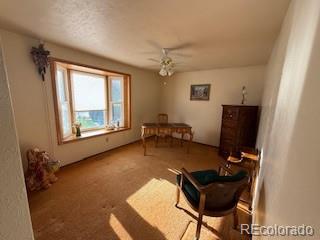 MLS Image #11 for 6958  brentwood court,arvada, Colorado