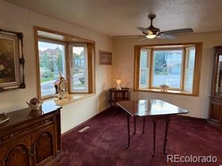 MLS Image #12 for 6958  brentwood court,arvada, Colorado