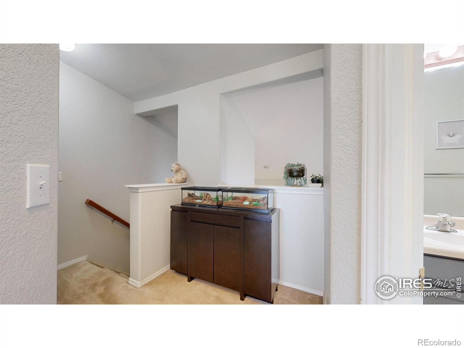 MLS Image #14 for 2593  mesa springs view,colorado springs, Colorado