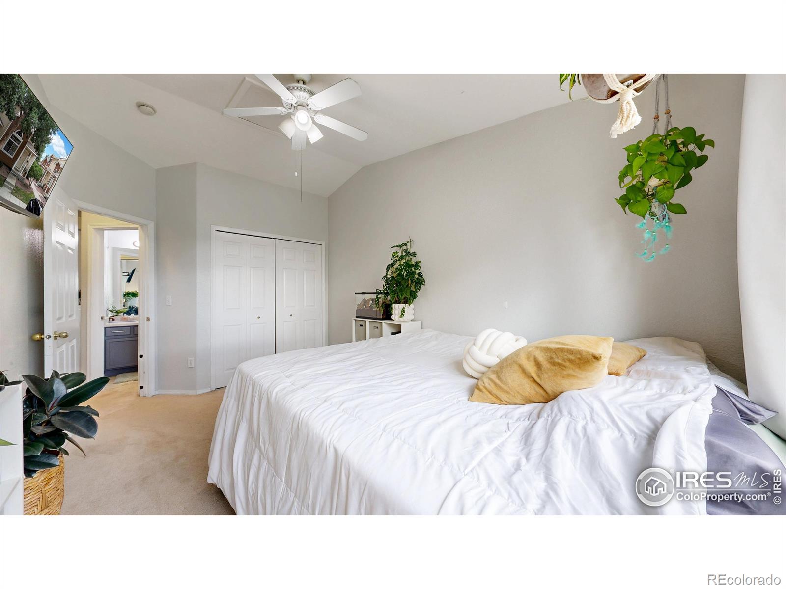 MLS Image #18 for 2593  mesa springs view,colorado springs, Colorado