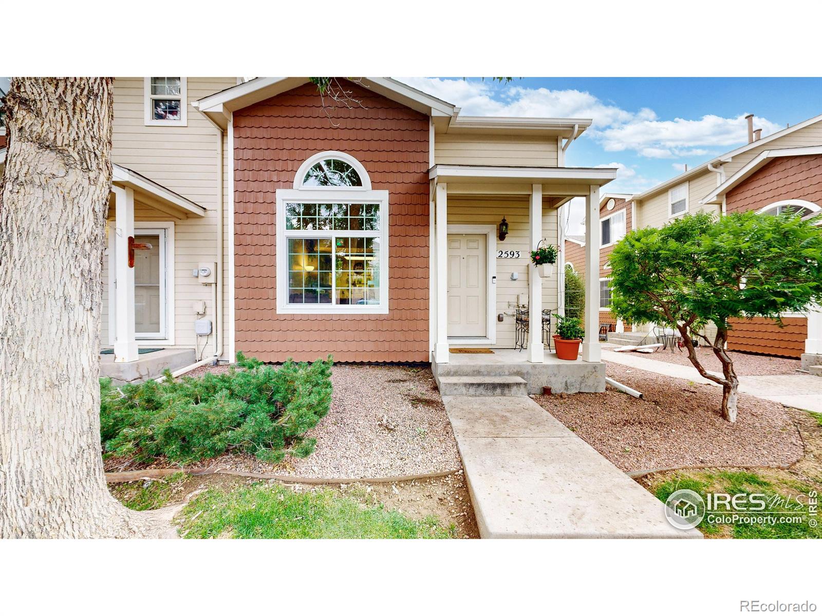 MLS Image #19 for 2593  mesa springs view,colorado springs, Colorado