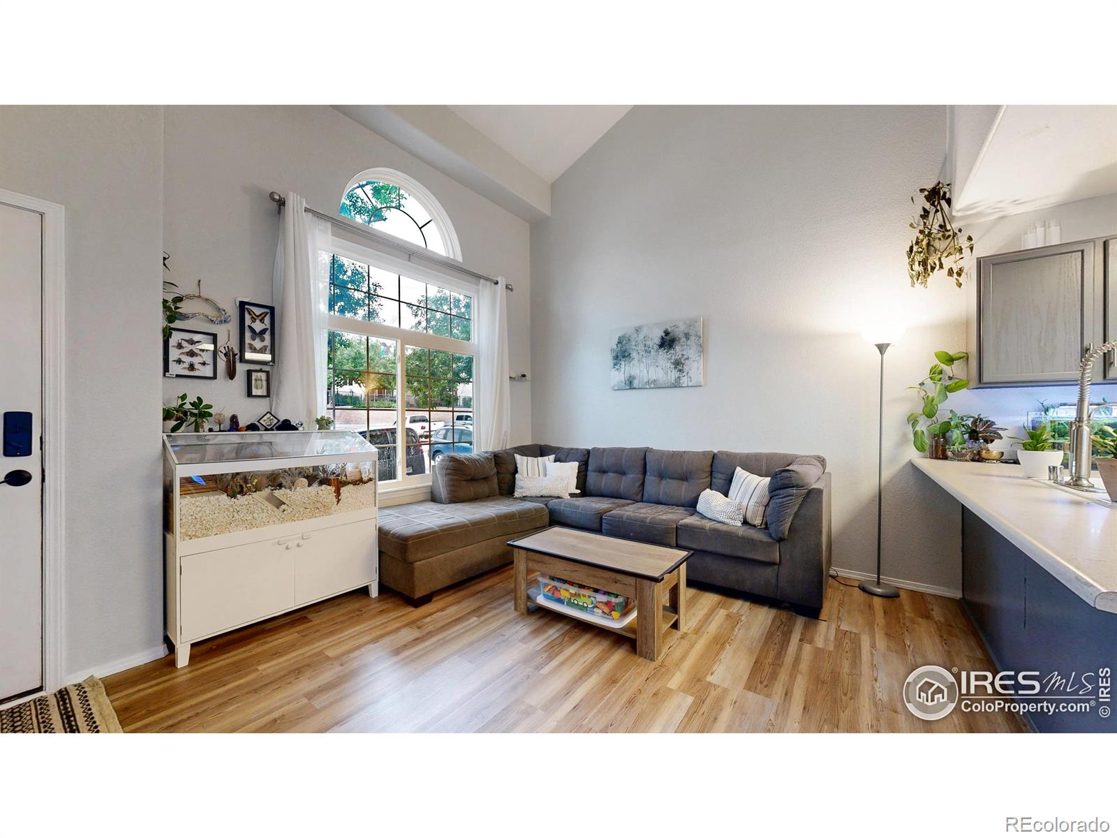 MLS Image #2 for 2593  mesa springs view,colorado springs, Colorado