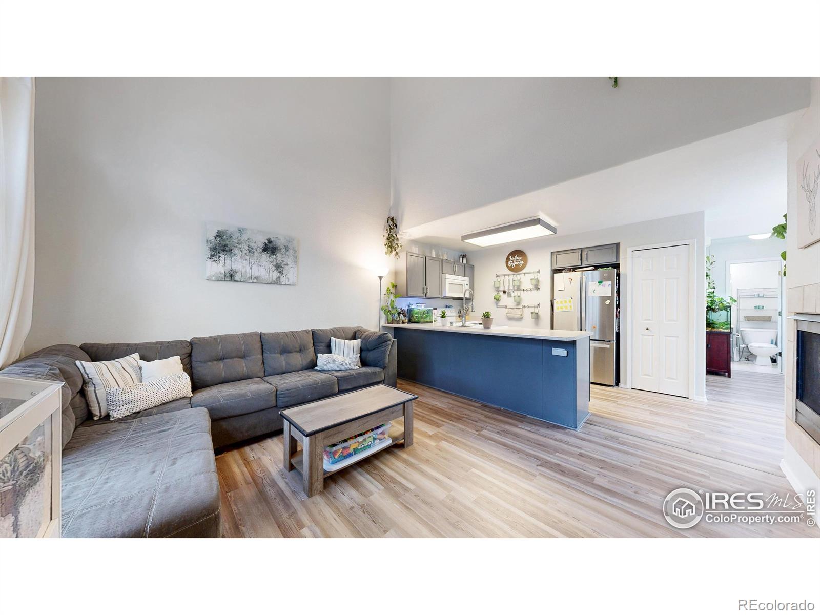 MLS Image #3 for 2593  mesa springs view,colorado springs, Colorado