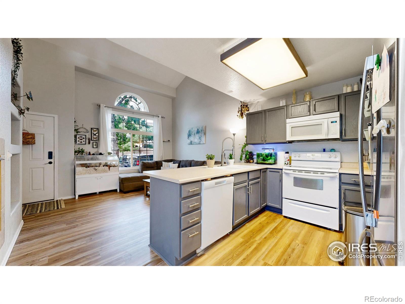 MLS Image #5 for 2593  mesa springs view,colorado springs, Colorado