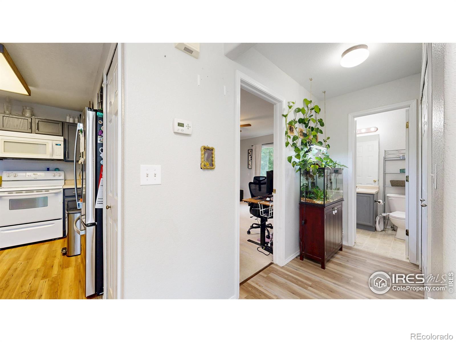 MLS Image #8 for 2593  mesa springs view,colorado springs, Colorado