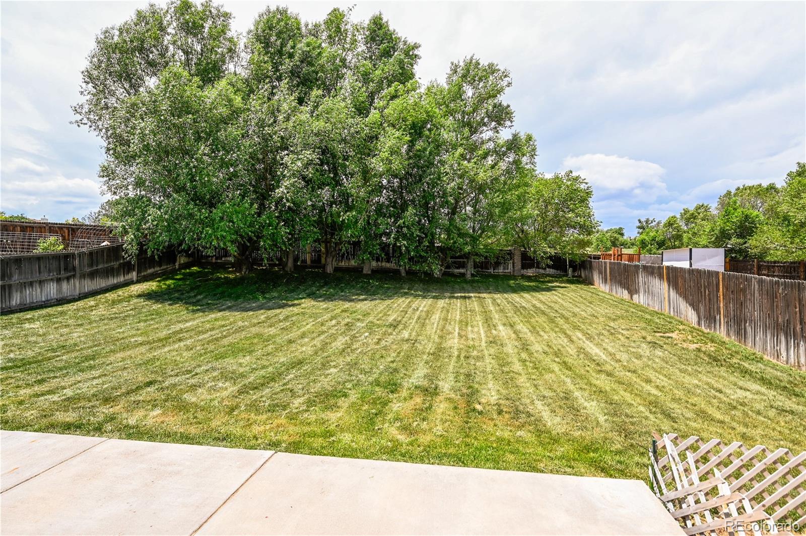 MLS Image #14 for 7242  coral ridge drive,colorado springs, Colorado