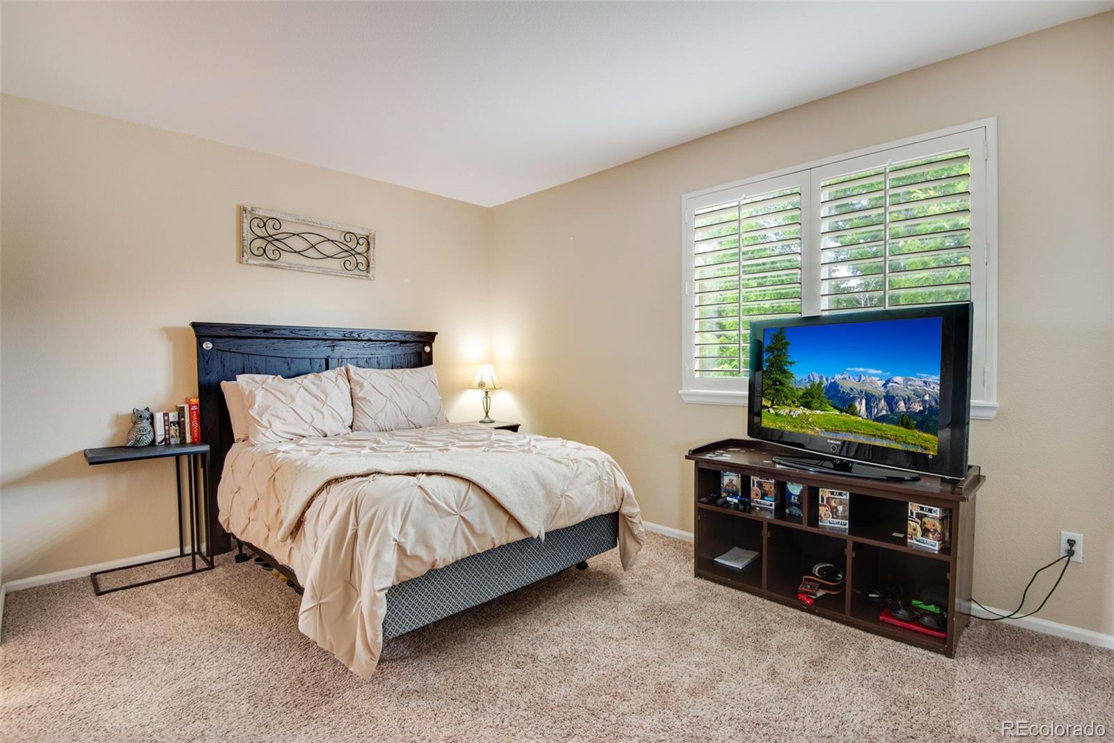 MLS Image #36 for 11830  snowshoe drive,parker, Colorado